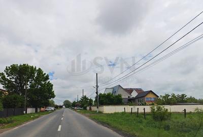 Teren Construcții intravilan de 10000 mp, în Dascălu - 1