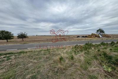 Teren 910 mp cu casa veche Seceani - 30 km de Timi?oara - 5