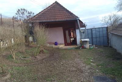 Casă cu 2 camere cu Teren 149 Mp în Orăștie - 3