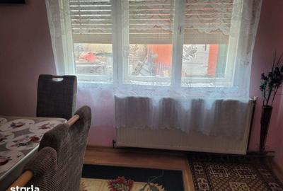 Casă cu 9 camere cu Teren 6300 Mp în Husasău de Tinca - 3