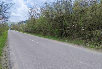 Spațiu comercial, în Central - 6