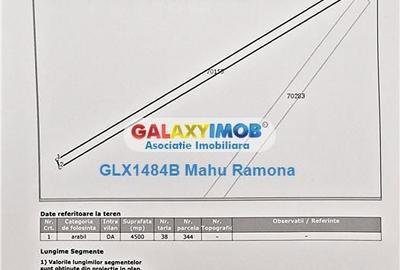 Teren de 25000 mp, în Uliești - 2