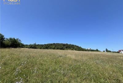 Teren intravilan Valea Castailor, zona Rombat - 9