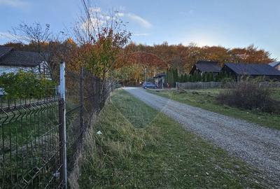 Teren intravilan 1,450mp Ilisesti / DN 17-Suceava - 21