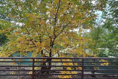 Apartament cu 3 camere semidecomandat în Prelungirea Ghencea - 2