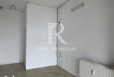 Spațiu comercial, de 12 mp, în Sântandrei - 4