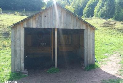 Teren de 56000 mp, în Arieșeni - 6