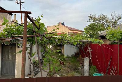 Casă cu 2 camere în Brestei - 4