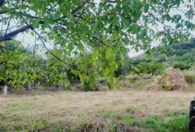 Teren de 1514 mp, în Ștefan cel Mare - 5