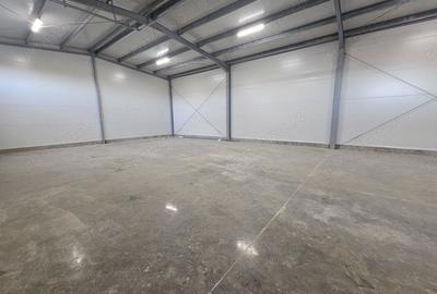 Spațiu comercial, de 1,000 mp, în Lugoj - 5