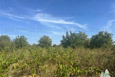 Teren Construcții intravilan de 2040 mp, în Brănești - 2