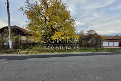 Teren intravilan, 4967 mp, utilita?i, sat Rasova, Bale? - 8