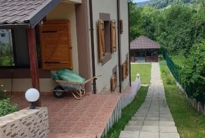 VILA PIETRENI VALCEA ,600 M2 PRETABILA PENSIUNE - 7