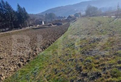 Teren extravilan - Sita Buzaului -6800 mp posibilitate trece - 20