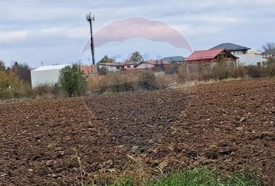 Teren Construcții intravilan de 15805 mp, în Ostratu - 6
