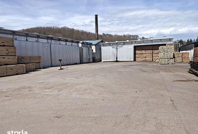 Spațiu comercial, de 43,000 mp, în Voila - 15