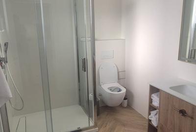 Vila individuala Iancu Nicolae - Jolie Ville - 8