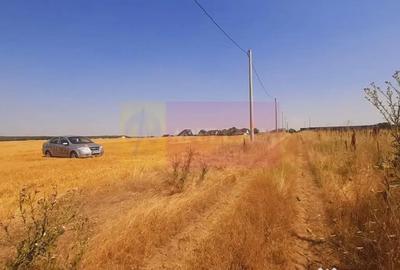 Teren de 2000 mp, în Brănești - 18