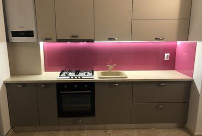 Apartament cu 2 camere semidecomandat în Dosu Bricii - 1