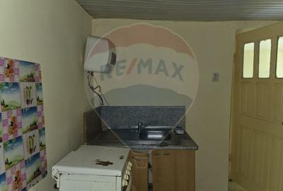 De vanzare casa taranesca Balusesti jud. Neamt - 7