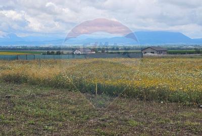 Teren Bod Strada Brasovului - 4