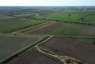 10 000 mp la Centura Sud Giroc - 1