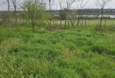 Teren Construcții intravilan de 2500 mp, în Tuzla - 5