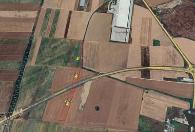 Teren de 6 mp, în Șag