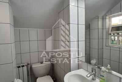 Apartament 4 camere in vila cocheta aproape de Iulius mall - 6