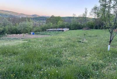 Teren de 2600 mp, în Central - 7