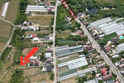 Spațiu comercial, în Berceni - 3
