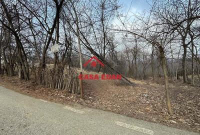 Casă cu Teren 3074 Mp în Cornu - 9