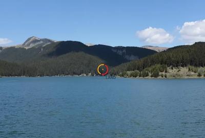 Teren de 50000 mp, în Pietroșița - 6