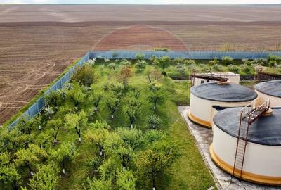 Crama Buciumeni - 11