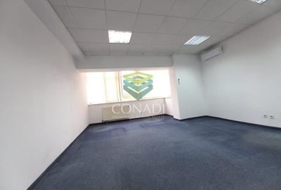 Birou de inchiriat // Domenii // Mihalache - 17