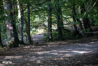 Spațiu comercial, în Vulcan - 5