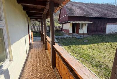 Casă cu 4 camere cu Teren 3252 Mp în Arghișu