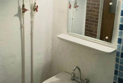 Garsonieră semidecomandată în Costin Georgian - 2