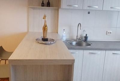 Apartament cu 2 camere semidecomandat în Cățelu - 5