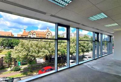 Birou, de 1,360 mp, în Iosefin - 8