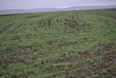 Spațiu comercial, în Gura Râului - 6