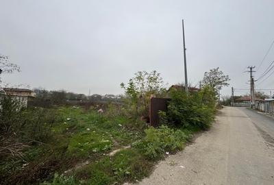 Teren 941 mp in Tanganu – Cernica | Acces rapid Bucuresti & A2| - 5