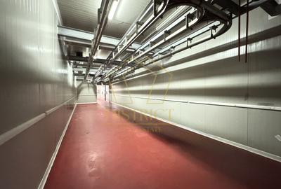 Spațiu industrial, de 1,350 mp, în Dumbrăvița - 6