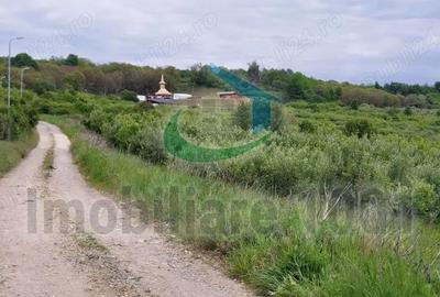 Teren intravilan 2510 mp, Livezilor, Somcuta Mare, zona cu potential de dezvoltare turistic - 5