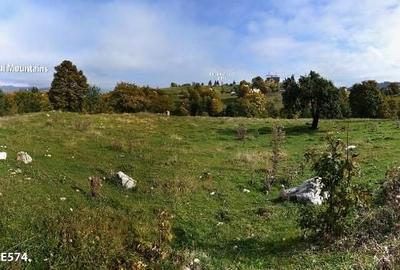 Teren Construcții intravilan de 8000 mp, în Fundata - 3