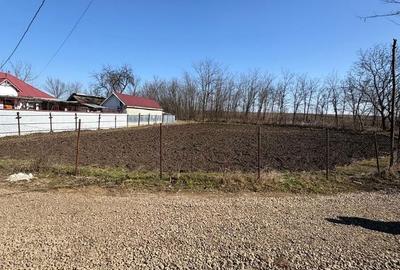 Spațiu comercial, în Miclăușeni - 12