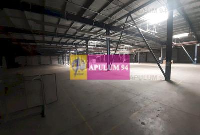 Spațiu industrial, de 4,850 mp, în 1 Decembrie - 17