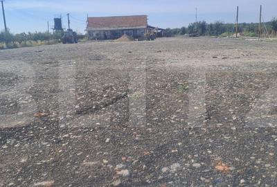 Spațiu comercial, de 370 mp, în Valea - 3