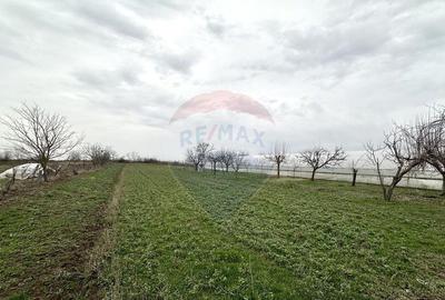 Teren de 1944 mp, în Dărăști-Vlașca - 12