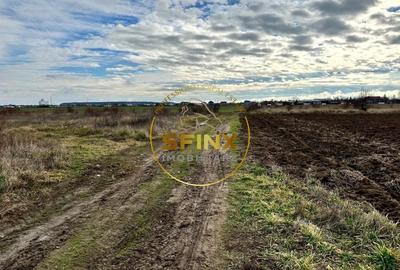 LOT de casa Tartasesti Primarie, teren cu potential - 4